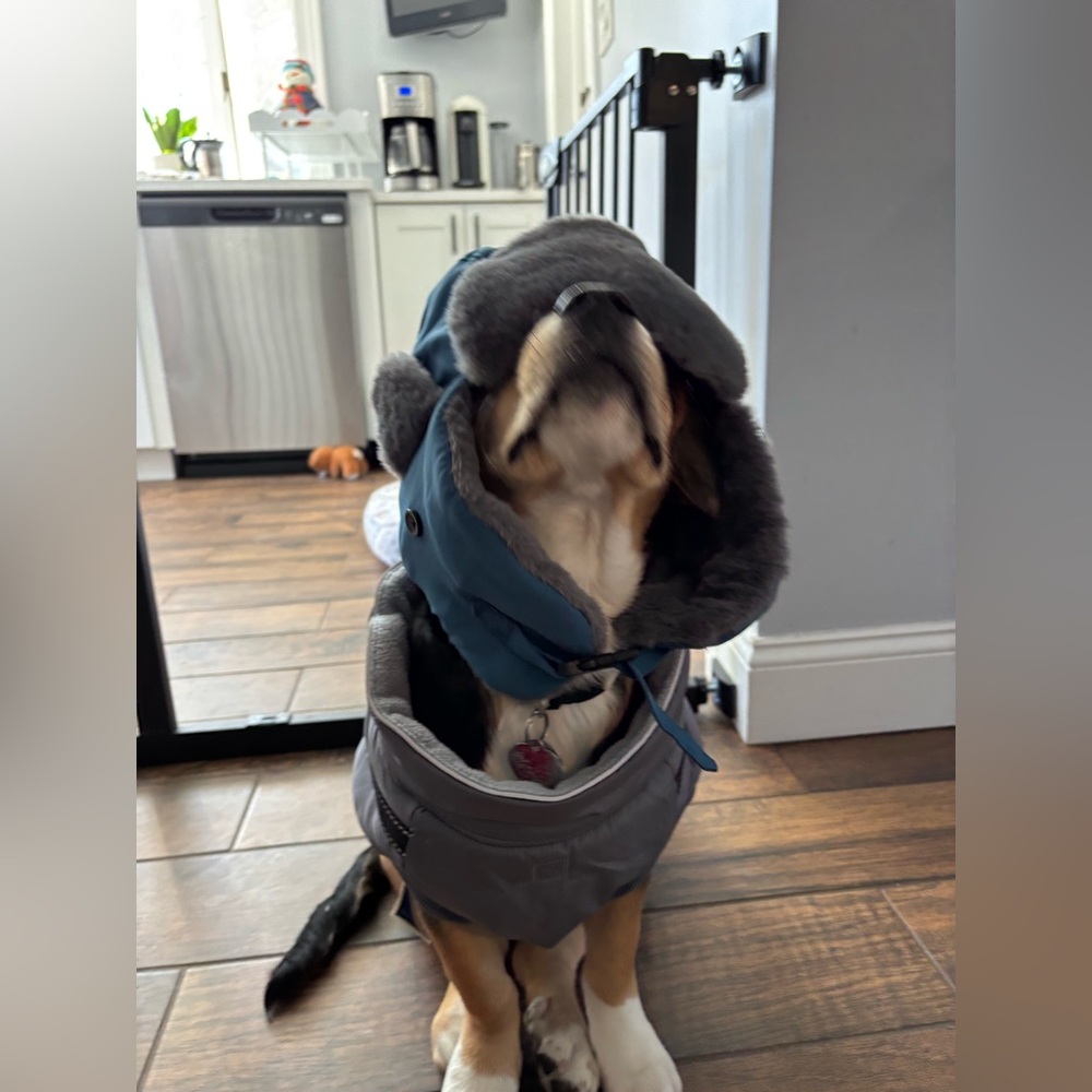 Meet your Posher, Martha